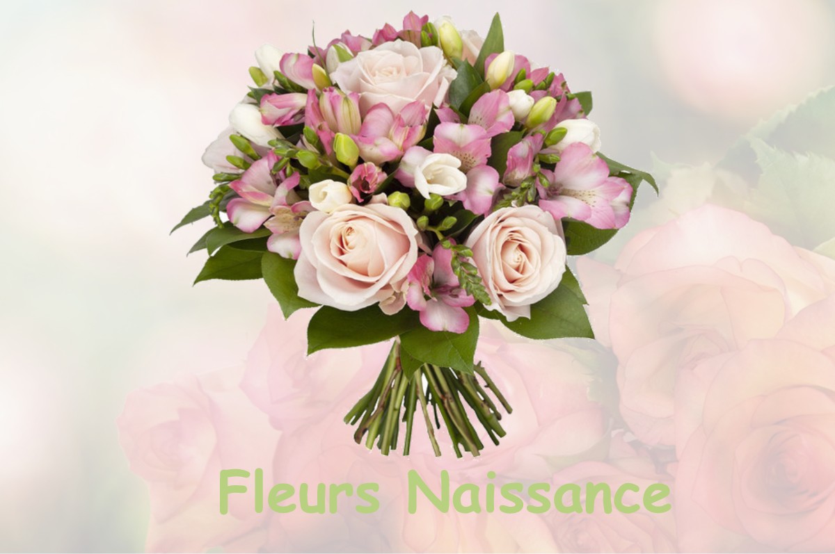 fleurs naissance MAUREMONT