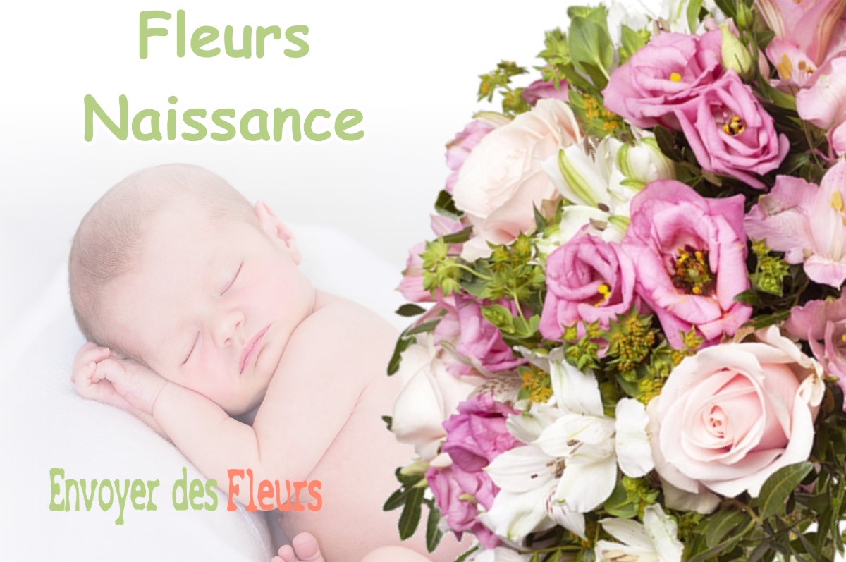 lIVRAISON FLEURS NAISSANCE à MAUREMONT